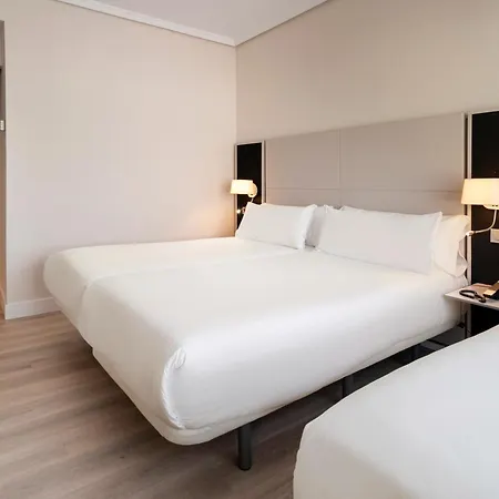 Hotel Ac General álava
